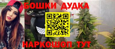 spice Кингисепп